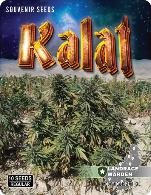 Landrace Genetics - Kalat