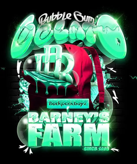 Barneys Farm Seeds - Bubblegum Gelato
