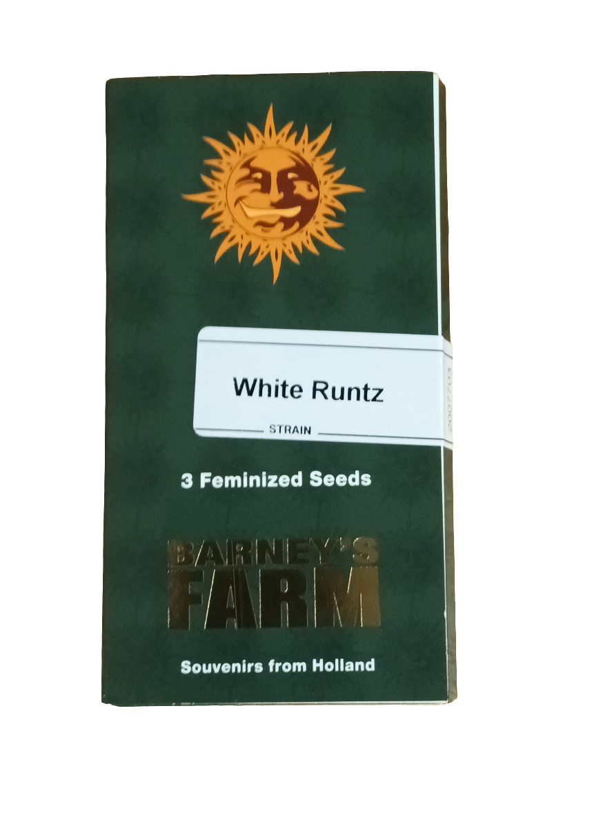 Barneys Farm Seeds - White Runtz