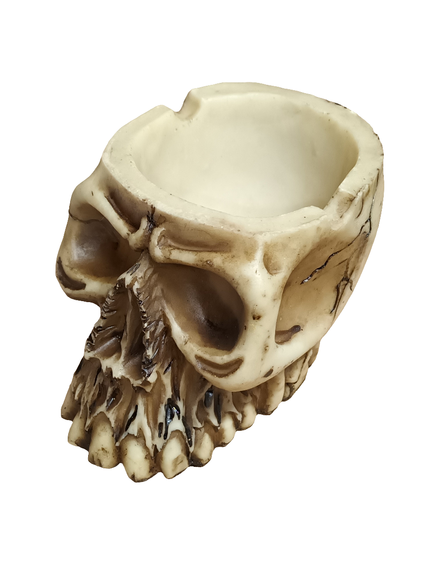 Resin Cast Skull Ashtray Bowl