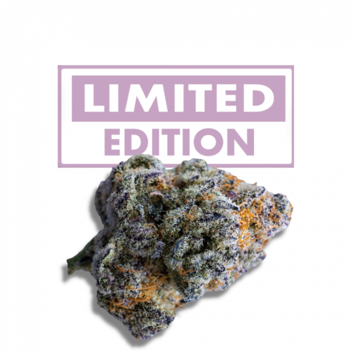 Growers Choice Seeds - Platinum Mimosa Cookies Double XL Auto
