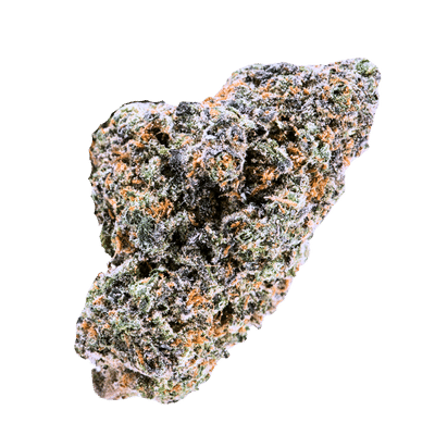 Terp Farmz Seeds - Blue Nerdz Auto