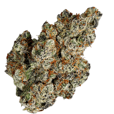 Terp Farmz Seeds - Jelly Babiez