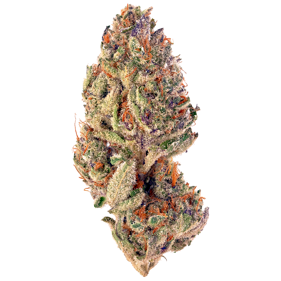 Tastebudz Seeds - Grape Gushers