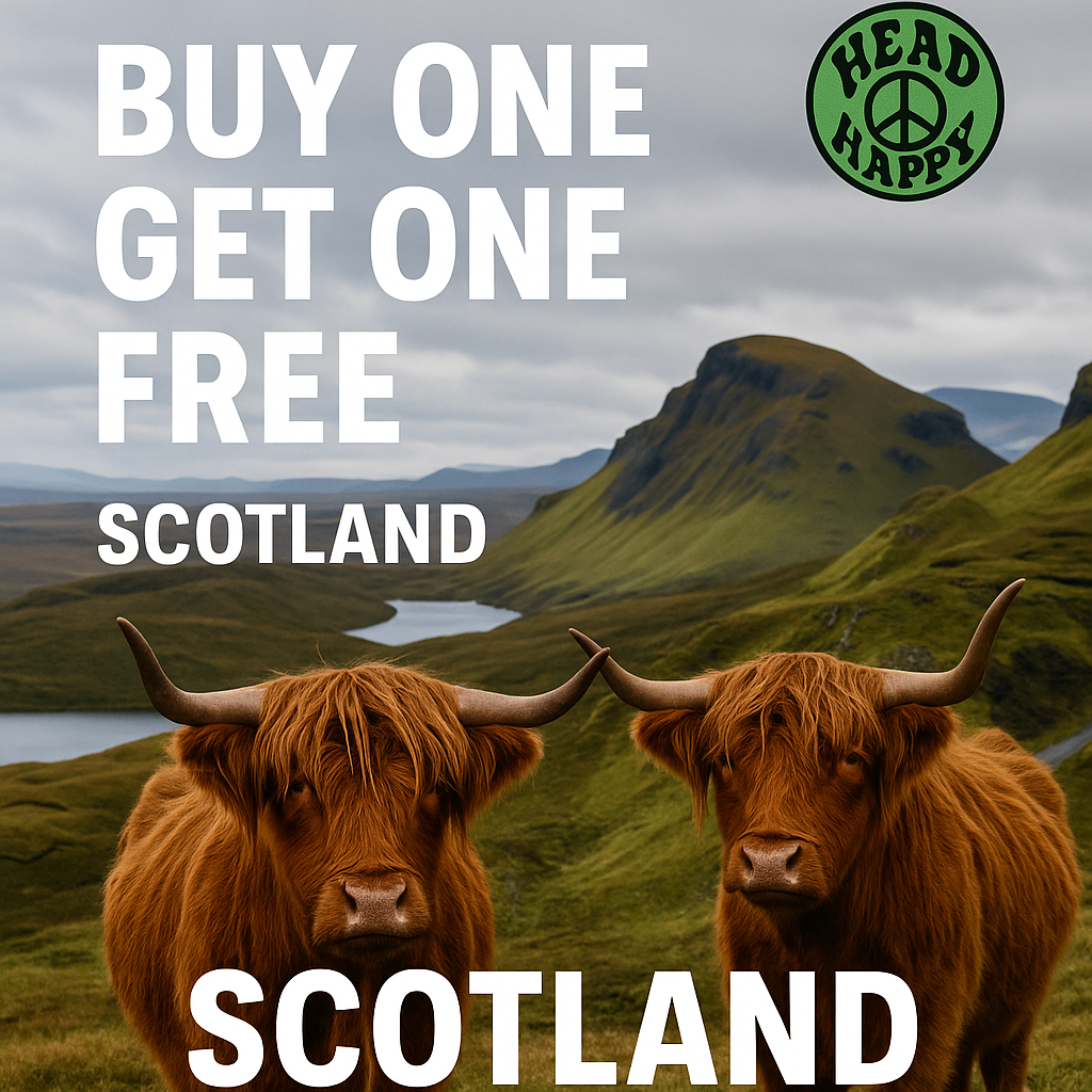 Buy One Get One Free
