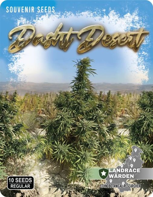 Landrace Genetics - Dasht Desert
