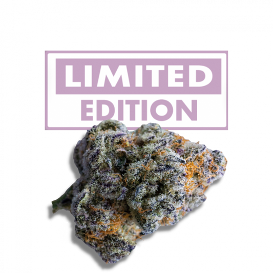 Growers Choice Seeds - Platinum Mimosa Cookies Double XL Auto
