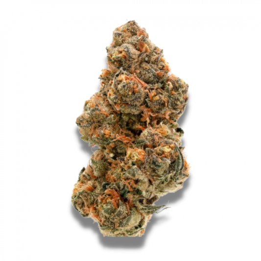 Wedding Cake x Frosty Gelato Double XL Auto