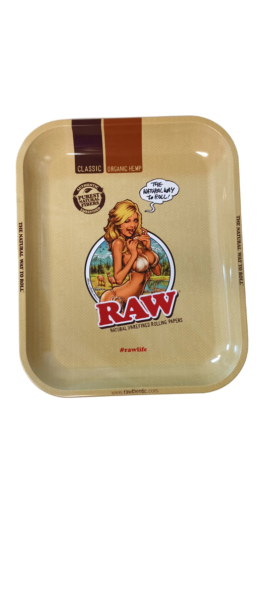 Bikini Girl  Metal cm 340mm x 280mm