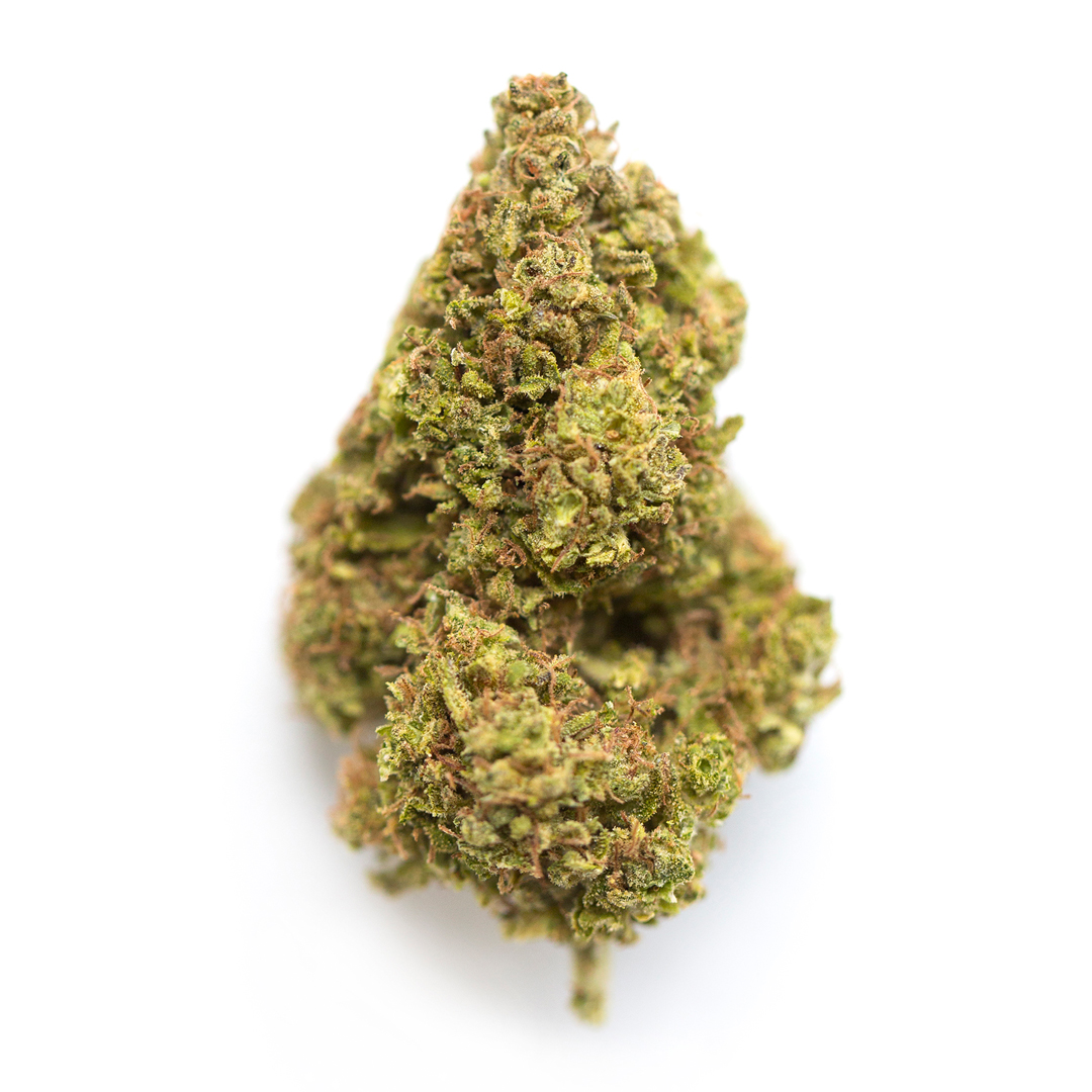Tastebudz Seeds - Gelonade