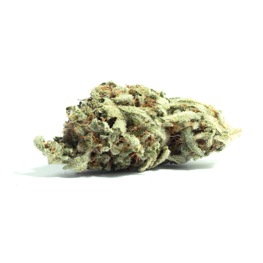 Tastebudz Seeds - Critical Banana Smoothie