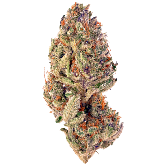 Tastebudz Seeds - Grape Gushers