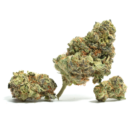 Humbolt Seed Organization Seeds - Cinnamon Buddha OG