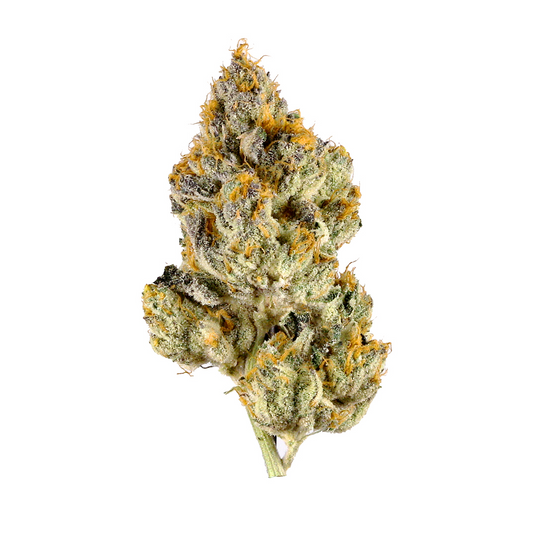 Barneys Farm Seeds - Lemon Cherry Gelato