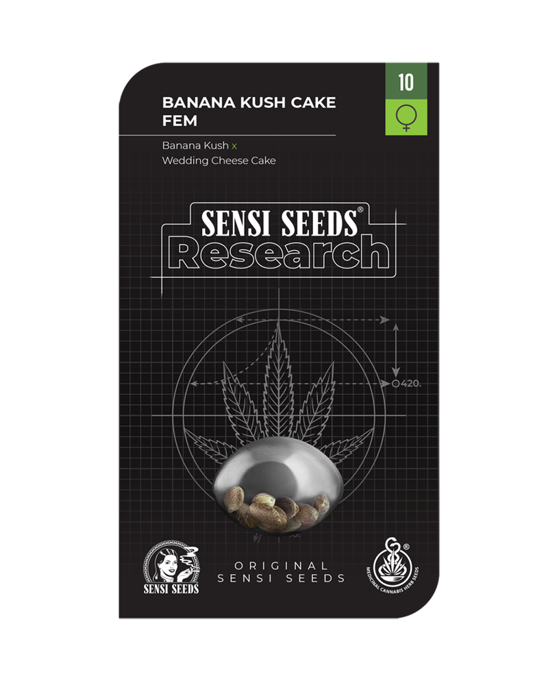 Sensi Research Seeds - Banana Kush Cake